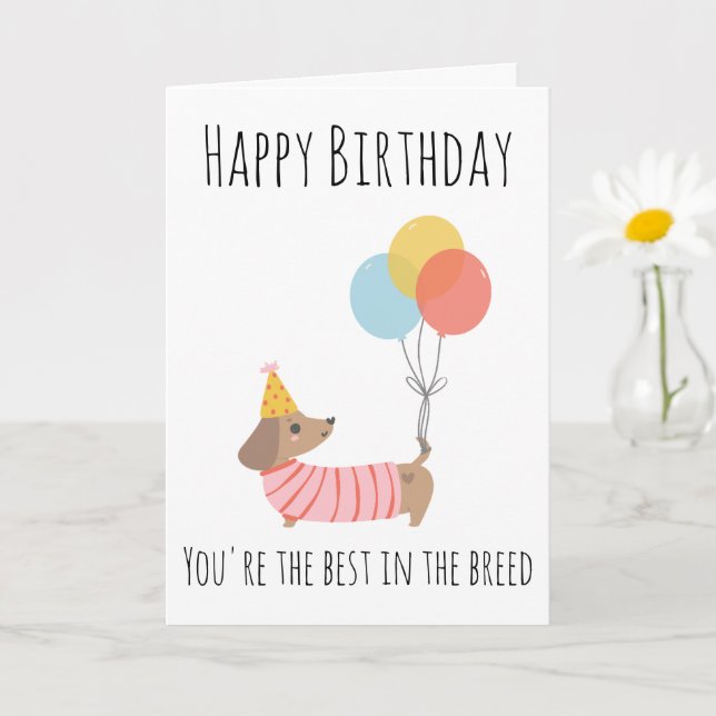 sausage dog birthday cards (Small Plant)