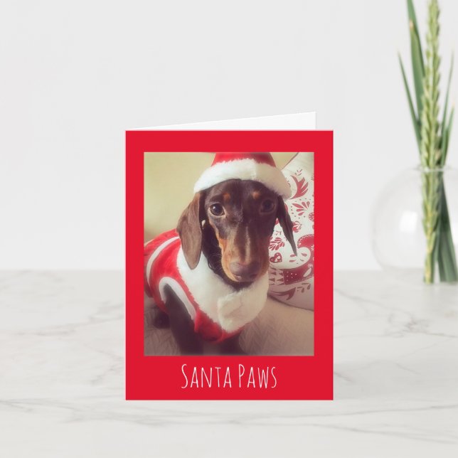 Sausage Dog Christmas Card (Front)