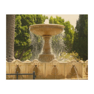 Sausalito Fountain California Travel Photography Wood Wall Decor