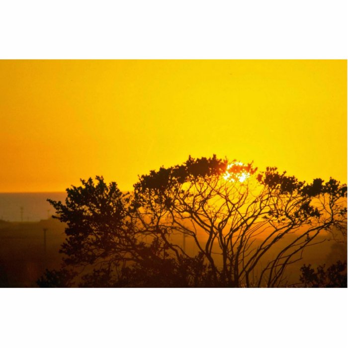 Savanna Sunset Photo Cut Outs