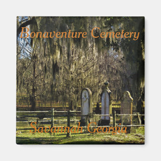 Savannah Bonaventure magnet