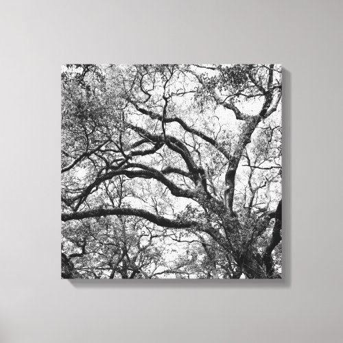 Savannah Canopy Canvas Print