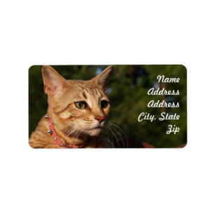 Savannah Cat Address Sticker
