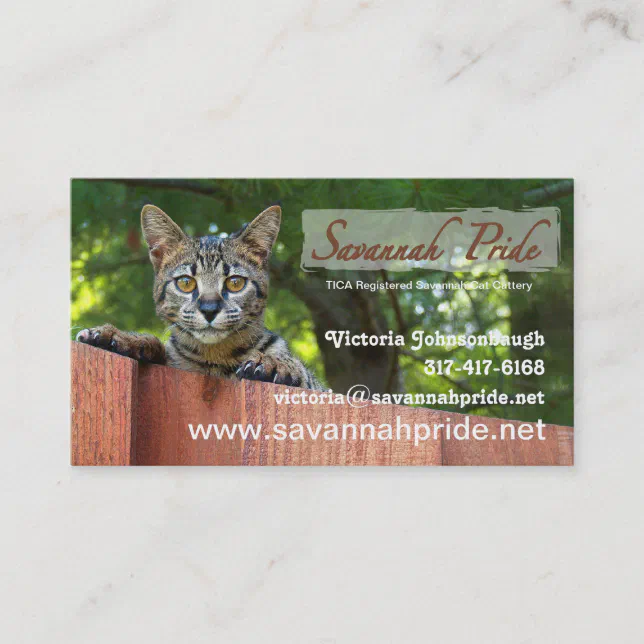 Savannah Cat Business Card Zazzle