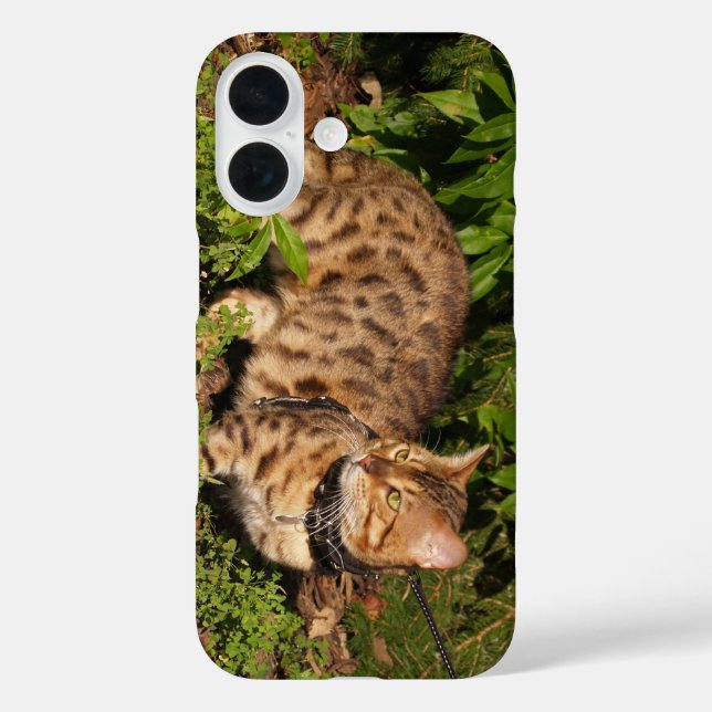 Savannah Cat Case (Back)