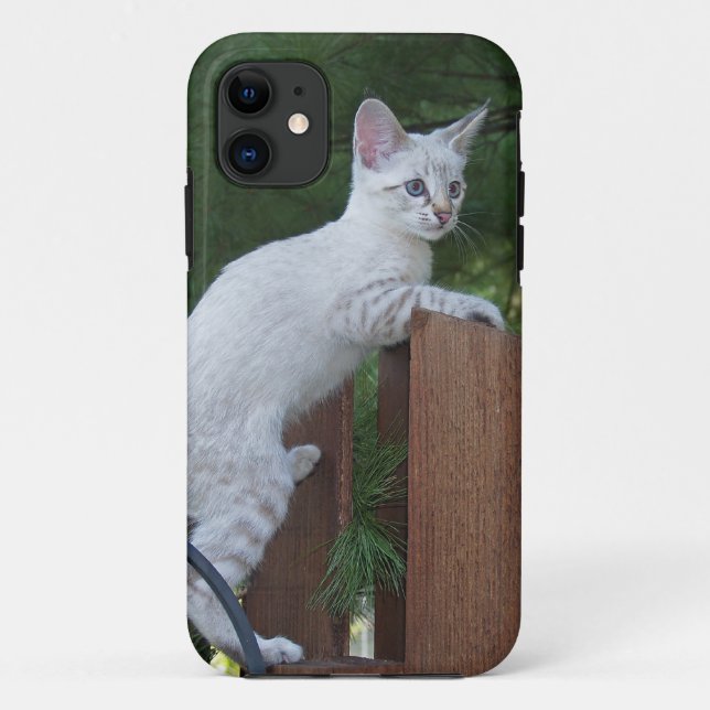 Savannah Cat  iPhone 5 Case-Mate Barely There Case (Back)