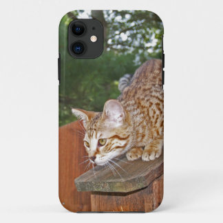 Savannah Cat iPhone 5 Case-Mate Barely There 11 Case