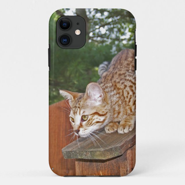 Savannah Cat  iPhone 5 Case-Mate Barely There Case (Back)