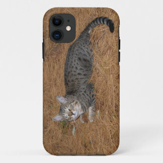 Savannah Cat iPhone 5 Case-Mate Barely There 11 Case