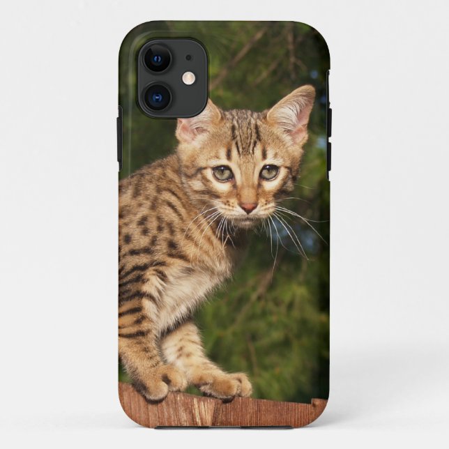 Savannah Cat  iPhone 5 Case-Mate Barely There Case (Back)