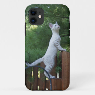 Savannah Cat iPhone 5 Case-Mate Barely There 11 Case