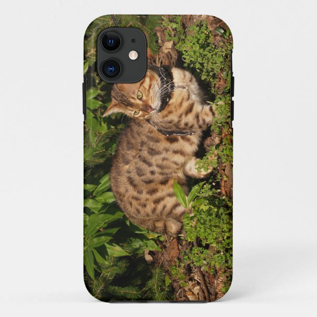Savannah Cat  iPhone 5 Case-Mate Barely There Case (Back)