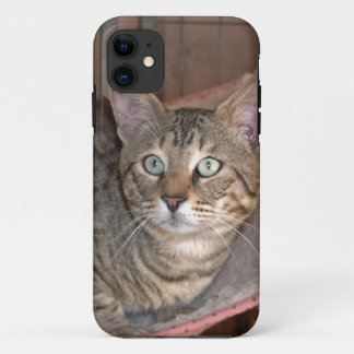 Savannah Cat iPhone 5 Case-Mate Barely There 11 Case