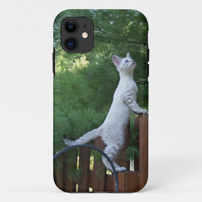 Savannah Cat iPhone 5 Case-Mate iPhone Case (Back)
