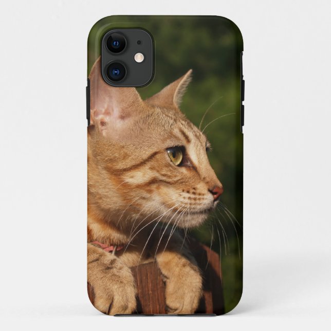 Savannah Cat  iPhone 5 Case-Mate iPhone Case (Back)