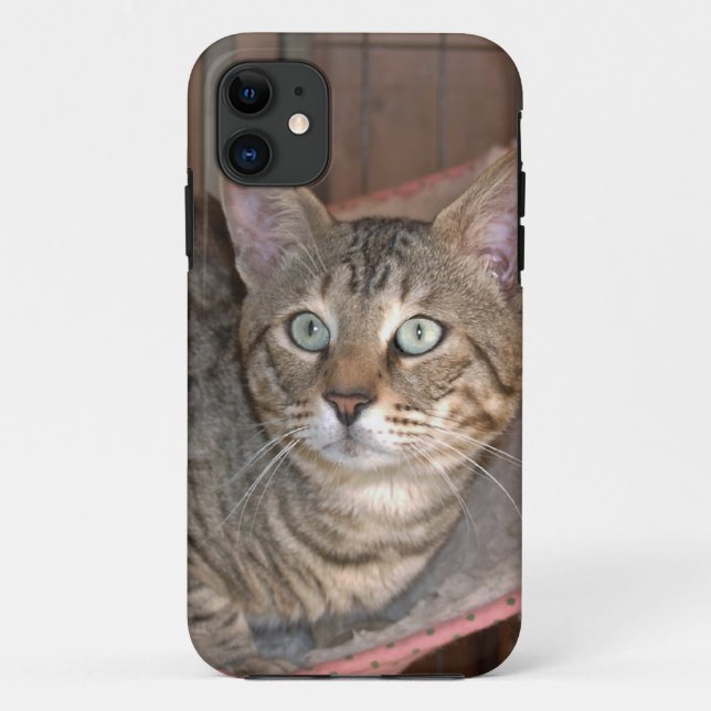 Savannah Cat  iPhone 5 Case-Mate iPhone Case (Back)