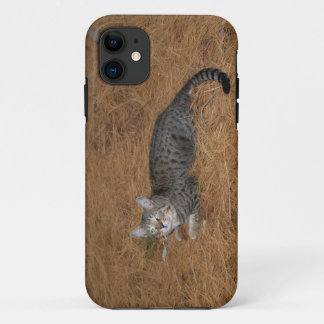 Savannah Cat iPhone 5 11 Case