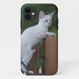 Savannah Cat iPhone 5 11 Case