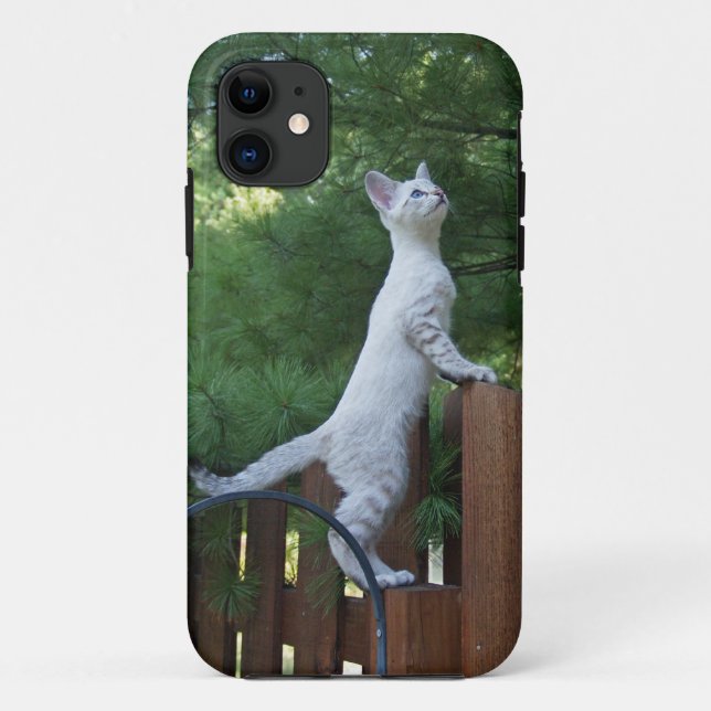 Savannah Cat  iPhone 5 Case-Mate iPhone Case (Back)