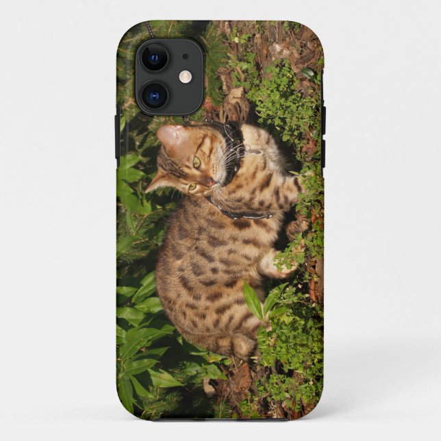 Savannah Cat iPhone 5 Case-Mate iPhone Case (Back)