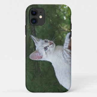 Savannah Cat iPhone 5 11 Case