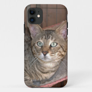 Savannah Cat iPhone 5 11 Case