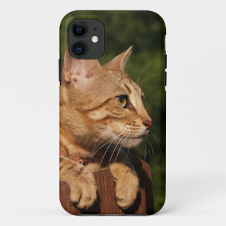 Savannah Cat iPhone 5 Custom Case-Mate ID 11 Case