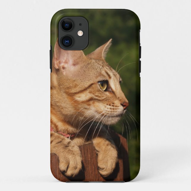 Savannah Cat iPhone 5 Custom Case-Mate ID Case (Back)