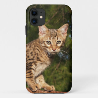Savannah Cat iPhone 5 Custom Case-Mate ID 11 Case