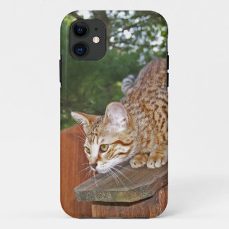 Savannah Cat iPhone 5 Custom Case-Mate ID 11 Case
