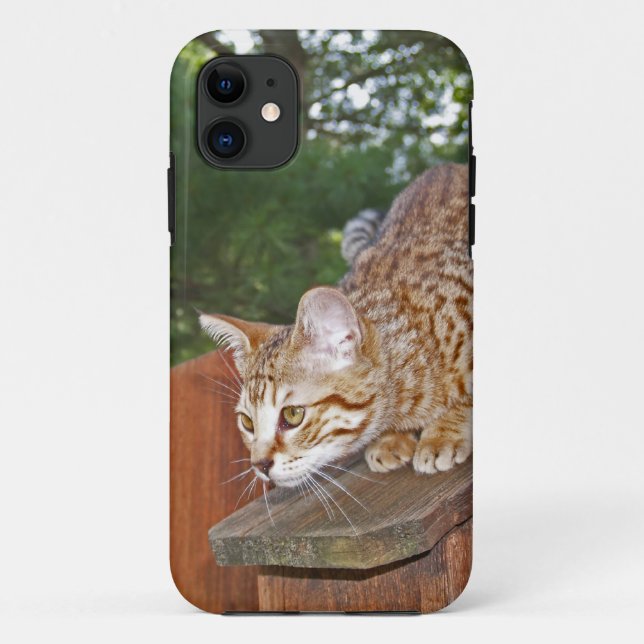 Savannah Cat iPhone 5 Custom Case-Mate ID Case (Back)