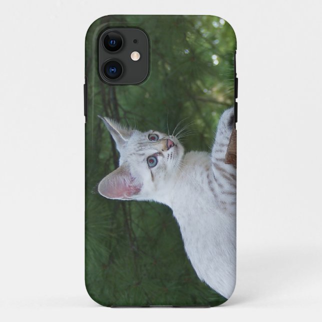 Savannah Cat iPhone 5 Custom Case-Mate ID Case (Back)