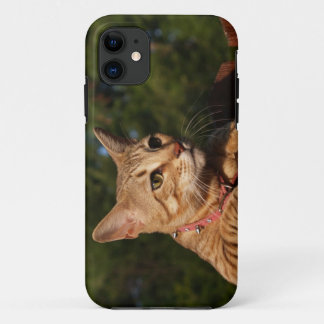 Savannah Cat iPhone 5 Custom Case-Mate ID 11 Case