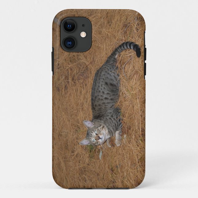 Savannah Cat iPhone 5 Custom Case-Mate ID Case (Back)
