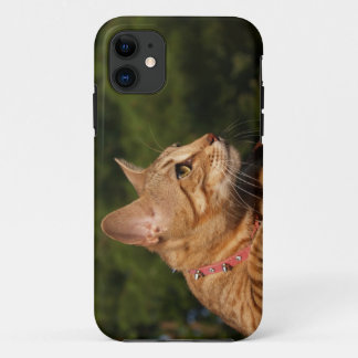 Savannah Cat iPhone 5 Custom Case-Mate ID 11 Case