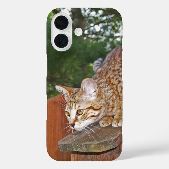 Savannah Cat  iPhone  case (Back)
