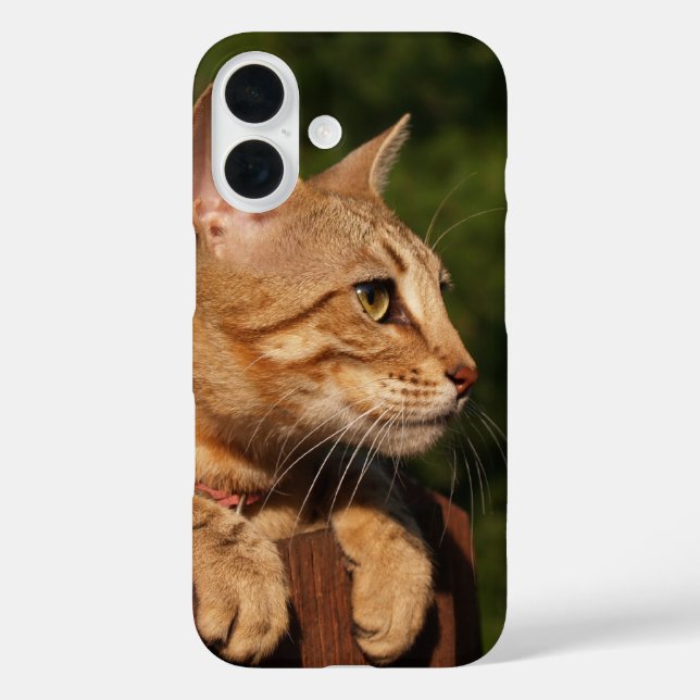 Savannah Cat  iPhone case (Back)
