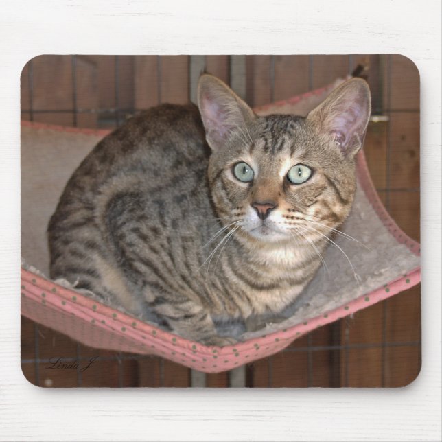 Savannah Cat Mousepad (Front)