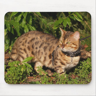 Savannah Cat Mousepad