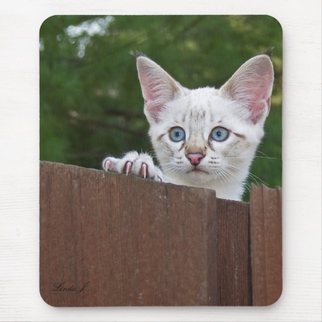 Savannah Cat Mousepad (Front)