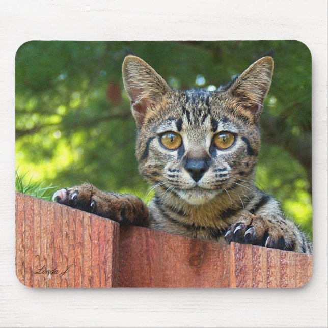 Savannah Cat Mousepad (Front)