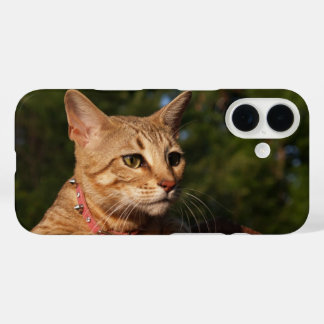 Savannah Cat Phone Case