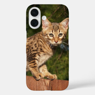Savannah Cat phone Case