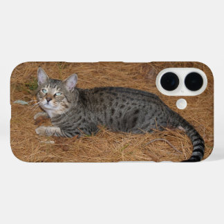 Savannah Cat Phone Case