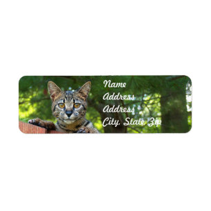 Savannah Cat Return Address Sticker