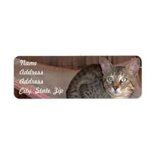 Savannah Cat Return Address Sticker