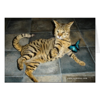 Savannah Cat surprise Card
