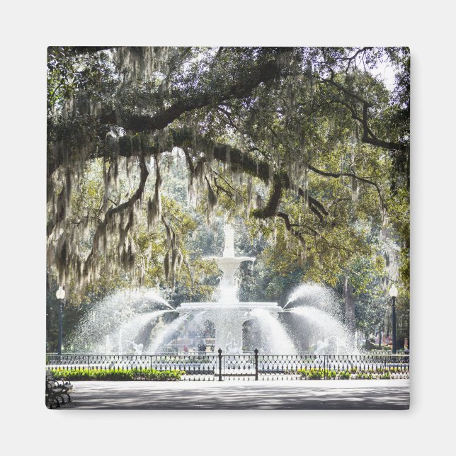 Savannah Forsyth Fountain Magnet (Front)