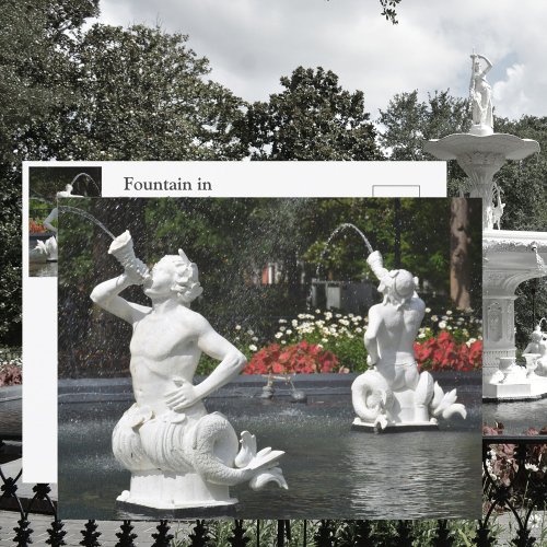 Savannah GA Forsyth Park Fountain Photographic Postcard