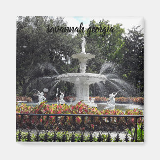 savannah georgia fountain magnet